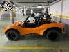 Buggy Apal LG Descapotable 1975 foto 3
