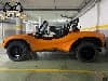 Buggy Apal LG Descapotable 1975 foto 4