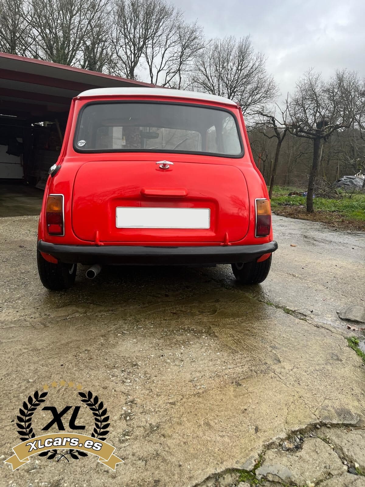 Mini MORRIS 1000L 1974 foto 2